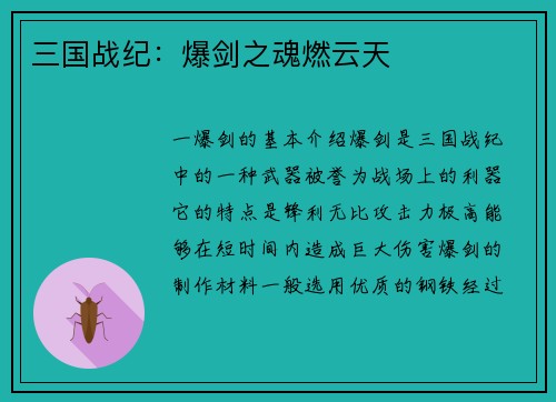 三国战纪：爆剑之魂燃云天